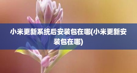 小米更新系统后安装包在哪(小米更新安装包在哪)