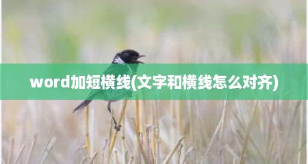 word加短横线(文字和横线怎么对齐)