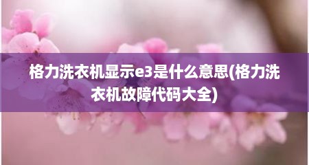格力洗衣机显示e3是什么意思(格力洗衣机故障代码大全)