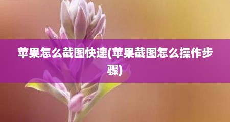 苹果怎么截图快速(苹果截图怎么操作步骤)