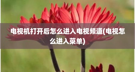 电视机打开后怎么进入电视频道(电视怎么进入菜单)