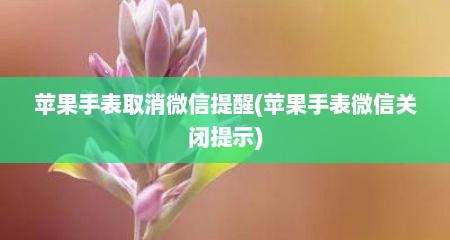 苹果手表取消微信提醒(苹果手表微信关闭提示)