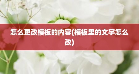 怎么更改模板的内容(模板里的文字怎么改)