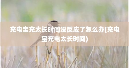充电宝充太长时间没反应了怎么办(充电宝充电太长时间)