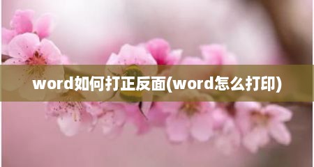word如何打正反面(word怎么打印)