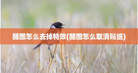 醒图怎么去掉特效(醒图怎么取消贴纸)