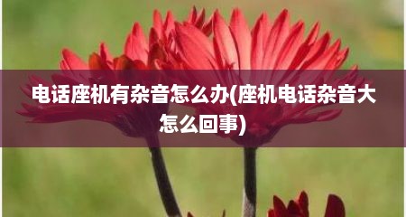 电话座机有杂音怎么办(座机电话杂音大怎么回事)