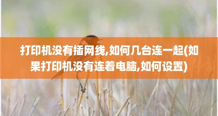 打印机没有插网线,如何几台连一起(如果打印机没有连着电脑,如何设置)