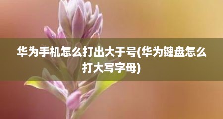 华为手机怎么打出大于号(华为键盘怎么打大写字母)