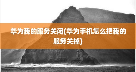 华为我的服务关闭(华为手机怎么把我的服务关掉)