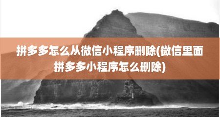 拼多多怎么从微信小程序删除(微信里面拼多多小程序怎么删除)