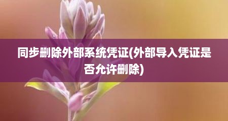 同步删除外部系统凭证(外部导入凭证是否允许删除)