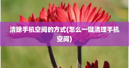 清除手机空间的方式(怎么一键清理手机空间)
