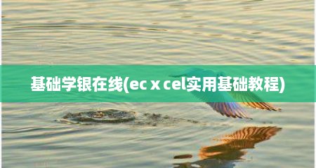 基础学银在线(ecⅹcel实用基础教程)