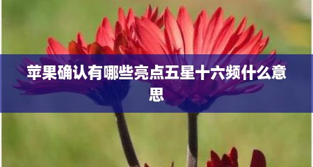 苹果确认有哪些亮点五星十六频什么意思