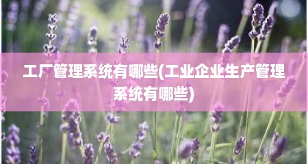 工厂管理系统有哪些(工业企业生产管理系统有哪些)