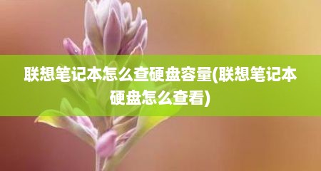 联想笔记本怎么查硬盘容量(联想笔记本硬盘怎么查看)
