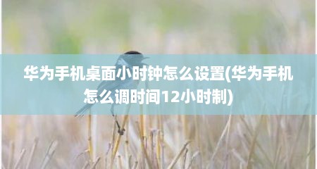 华为手机桌面小时钟怎么设置(华为手机怎么调时间12小时制)