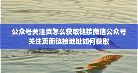 公众号关注页怎么获取链接微信公众号关注页面链接地址如何获取