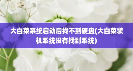 大白菜系统启动后找不到硬盘(大白菜装机系统没有找到系统)