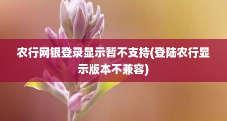 农行网银登录显示暂不支持(登陆农行显示版本不兼容)
