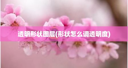 透明形状图层(形状怎么调透明度)