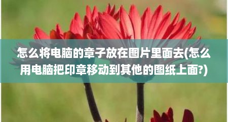 怎么将电脑的章子放在图片里面去(怎么用电脑把印章移动到其他的图纸上面?)