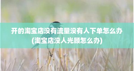 开的淘宝店没有流量没有人下单怎么办(淘宝店没人光顾怎么办)