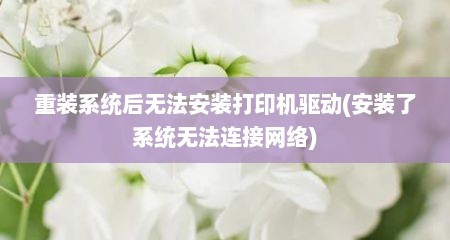 重装系统后无法安装打印机驱动(安装了系统无法连接网络)