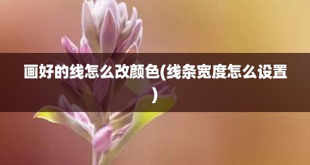 画好的线怎么改颜色(线条宽度怎么设置)