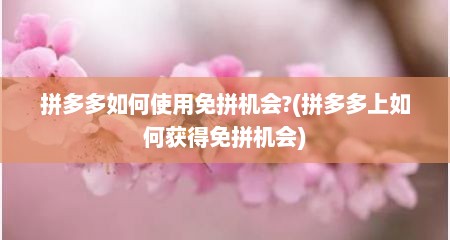 拼多多如何使用免拼机会?(拼多多上如何获得免拼机会)