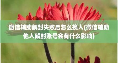 微信辅助解封失败后怎么换人(微信辅助他人解封账号会有什么影响)