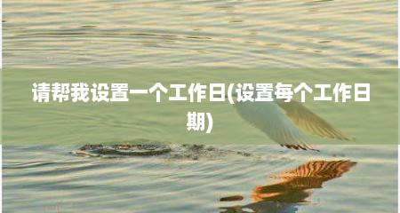 请帮我设置一个工作日(设置每个工作日期)