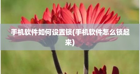 手机软件如何设置锁(手机软件怎么锁起来)