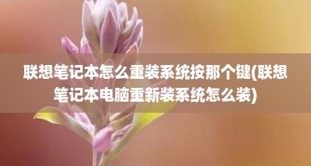 联想笔记本怎么重装系统按那个键(联想笔记本电脑重新装系统怎么装)