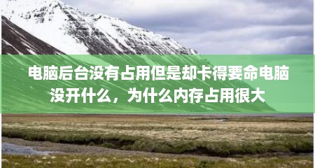 电脑后台没有占用但是却卡得要命电脑没开什么，为什么内存占用很大