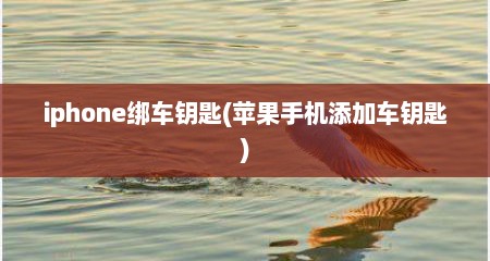 iphone绑车钥匙(苹果手机添加车钥匙)