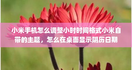 小米手机怎么调整小时时间格式小米自带的主题，怎么在桌面显示阴历日期