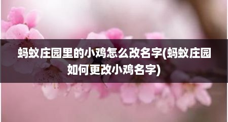 蚂蚁庄园里的小鸡怎么改名字(蚂蚁庄园如何更改小鸡名字)