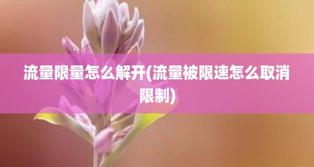 流量限量怎么解开(流量被限速怎么取消限制)