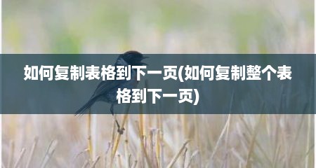 如何复制表格到下一页(如何复制整个表格到下一页)