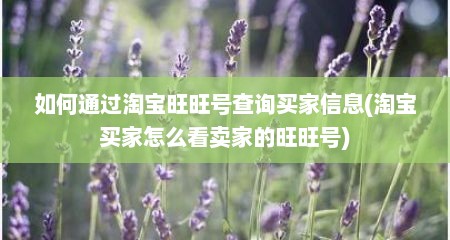 如何通过淘宝旺旺号查询买家信息(淘宝买家怎么看卖家的旺旺号)