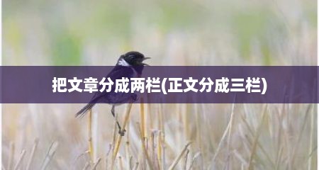 把文章分成两栏(正文分成三栏)