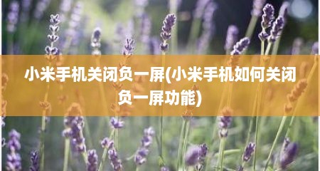 小米手机关闭负一屏(小米手机如何关闭负一屏功能)