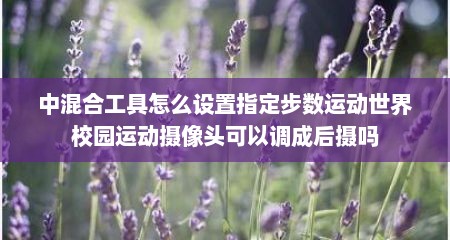 中混合工具怎么设置指定步数运动世界校园运动摄像头可以调成后摄吗