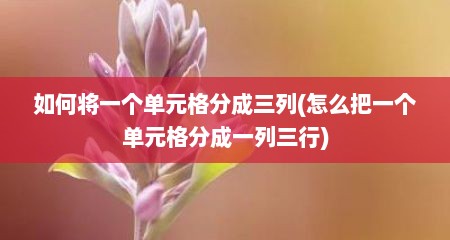 如何将一个单元格分成三列(怎么把一个单元格分成一列三行)