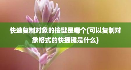 快速复制对象的按键是哪个(可以复制对象格式的快捷键是什么)