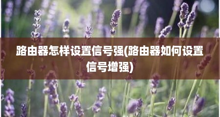 路由器怎样设置信号强(路由器如何设置信号增强)