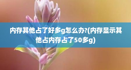 内存其他占了好多g怎么办?(内存显示其他占内存占了50多g)
