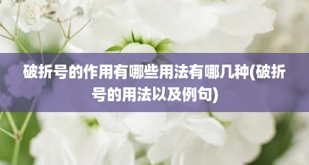破折号的作用有哪些用法有哪几种(破折号的用法以及例句)